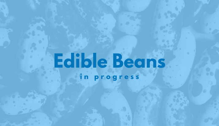 Edible Beans in progress