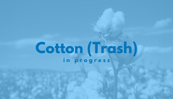 cotton (trash) in progress
